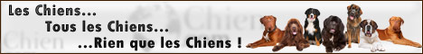 Chien .com : Le Monde Francophone du Chien