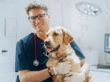 Votre santé est assurée. Et celle de votre chien ?