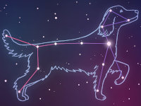 La constellation du chien