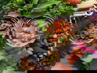 Différents types d'aliments pour chien