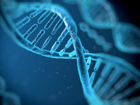 Image de synthèse de l'ADN