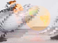 Un chien à côté d'un globe représentant la Terre