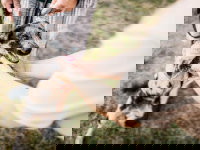 Un homme rencontre un chien dans un parc