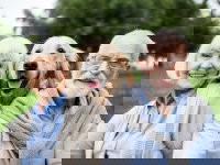 Un couple âgé avec leur chien