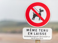 Un panneau "interdit aux chiens"