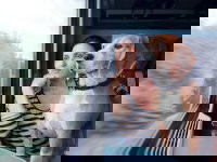 Une femme et son Beagle dans un train