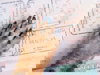 Un chien avec un visa pour voyager