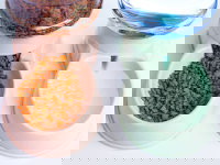 Des distributeurs d'eau et de nourriture pour chien