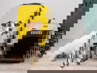 Un Jack Russel avec sa cage et sa valise, prêt pour voyager